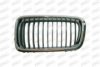 PRASCO BM0982014 Radiator Grille